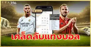 เคล็ดลับแทงบอล สมัครกับ ufa356 วันนี้ รับเทคนิคแบบเซียนบอลฟรี